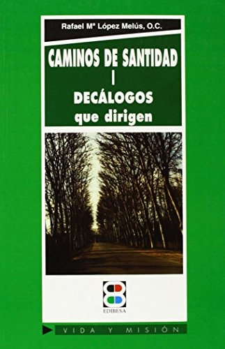 Portada del libro de Caminos de santidad I Decálogos que dirigen