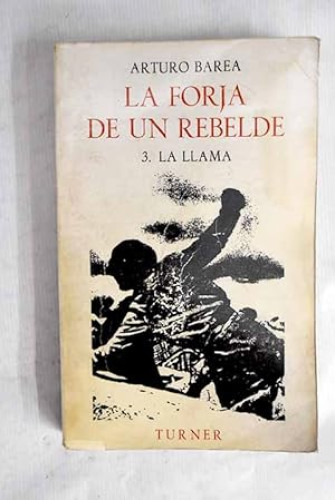 La forja de un rebelde TOMO III