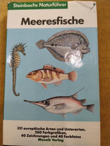 Meeresfische in europäischen Gewässern
