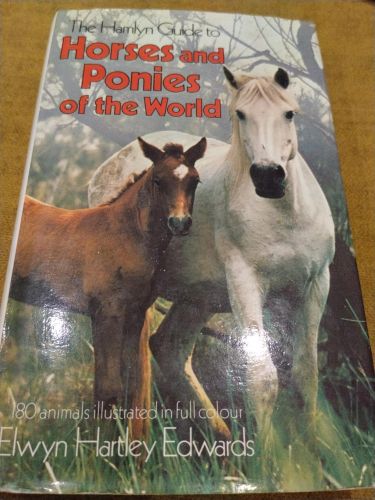 HORSES AND PONIES