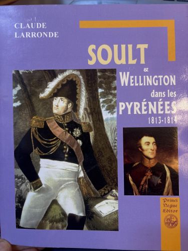 Soult et Wellington dans les Pyrénées: 1813-1814: la retraite des 