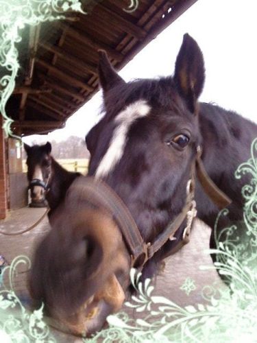 Portada del libro de BEWÄHRTE MUSTERBRIEFE FÜR ALLE GELEGENHEITEN [PERFECT PAPERBACK] OLAF-FUHRMANN-DIETER-KELLERMANN-HANS-KIRST