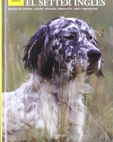 Portada del libro de SETTER INGLES, EL CATTANEO, FILIPPO