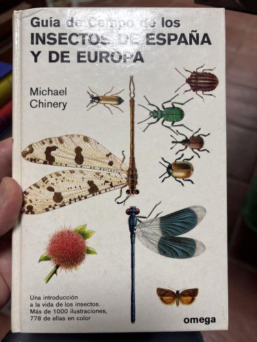 Portada del libro de GUIA CAMPO INSECTOS DE ESPAÑA Y EUROPA