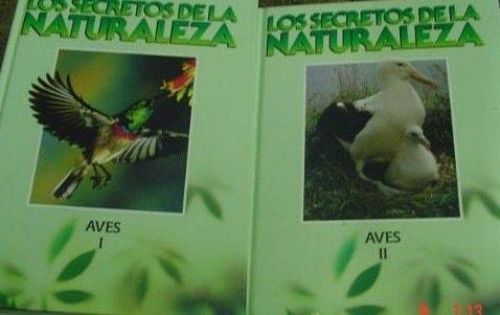 Portada del libro de SECRETOS DE LA NATURALEZA, LOS. LAS AVES. [TAPA DURA] ALONSO, FERNANDO . ALONSO, JOSEFA